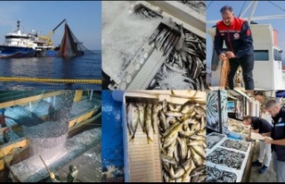 Genel av Yasağı Başladı