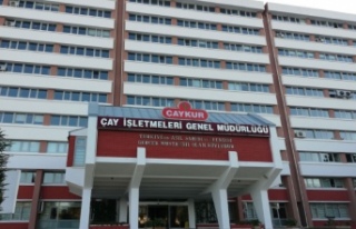 MARKETLERDE HANGİ MARKA ÇAY KAÇ TL SATILIYOR?