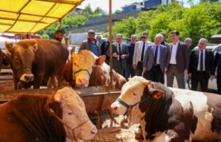 ORTAHİSAR, KURBAN BAYRAMI’NA HAZIR