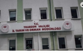 Dolandırıcılar kurumumuzun adını kullanıyorlar