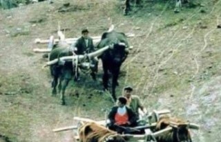 Trabzon Muhacirliği: Acının, Fedakârlığın ve...