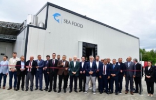 Sea Food balık işletmesi açıldı.