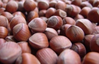 BUGÜN SERBEST PİYASADA DURUM NE?