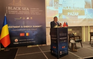 Türkiye - Romanya Karadeniz Ticaret ve Enerji Zirvesi...