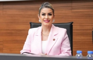 ''Meclis Üyesi Arzu Öktem: ''Açıklamalar...