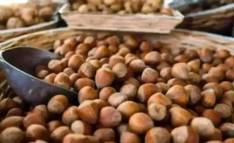 Piyasalarda Neler Oluyor?