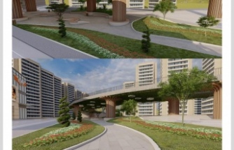 Köprü altı düzenlenecek