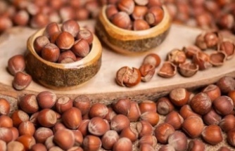 Fındık fiyatları yerinde sayıyor.