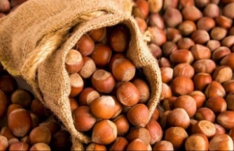 Fındık fiyatları dip yaptı