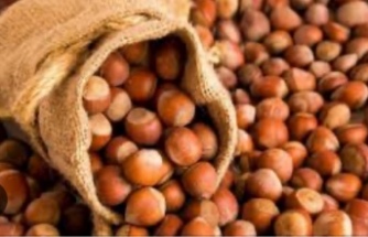 KARADENİZ'DE FINDIK FİYATLARI YÜKSELİYOR MU?