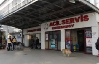 Hacı ziyaretinde zehirlenme 50 kişi hastaneye kaldırıldı.
