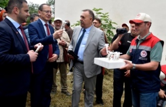 Tarım İl Müdürü İsa Kaplan ''Samuray Arılarımızı Doğaya Saldık''