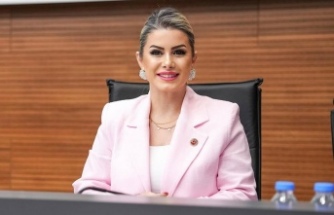 ''Meclis Üyesi Arzu Öktem: ''Açıklamalar Art Niyetlidir''