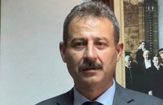 Söğüt fındık üreticisi sürünüyor.