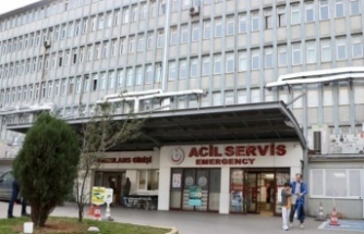 Ağaçtan Düşen Şahıs Ağır Yaralandı