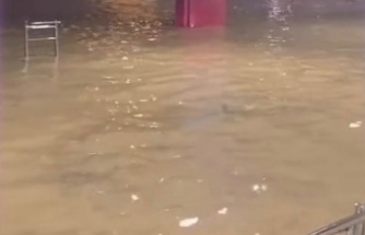 Devlet karayolu dereye döndü.