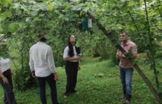 AGRICOOP Projesi İle Tarımda Dijital İzleme Dönemi…
