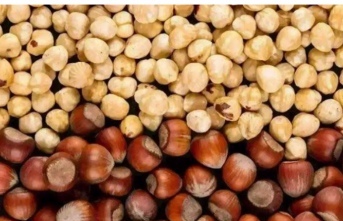 Fındık alım fiyatları sabitlendi.