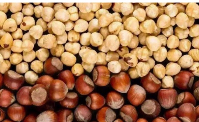 Fındık alım fiyatları sabitlendi.