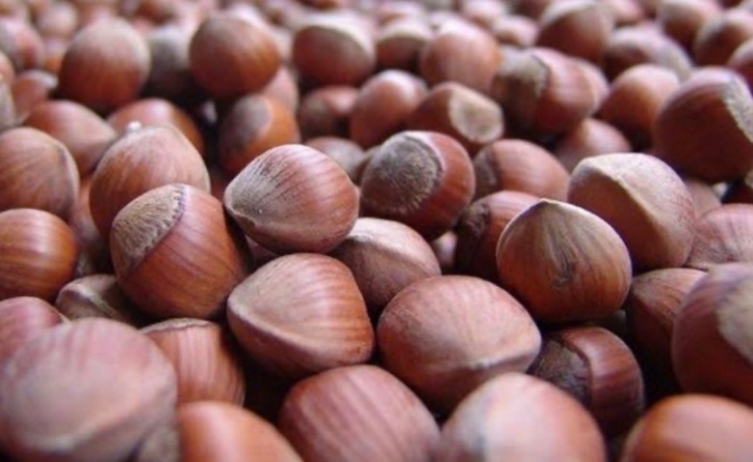 Serbest Piyasada Güncel Fiyatlar Nasıl Şekilleniyor?