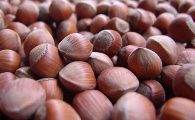 BUGÜN SERBEST PİYASADA DURUM NE?