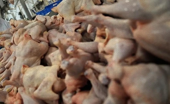 Bozuk tavuk etlerine el konuldu
