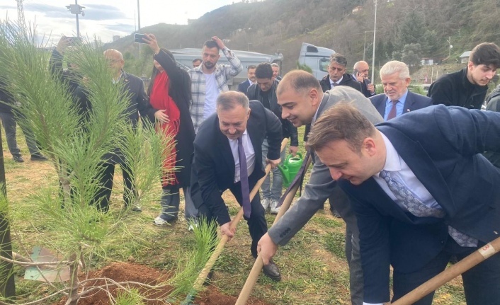 FİDANLAR MARATON ANISINA TOPRAKLA BULUŞTU