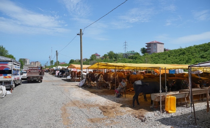 ORTAHİSAR’DA KURBAN HAZIRLIKLARI TAMAMLANDI