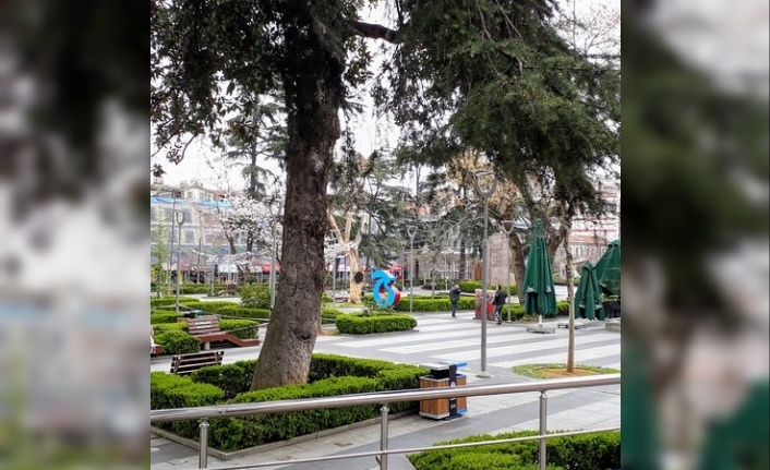 Trabzon Diğer İllerin Arkasında Kaldı