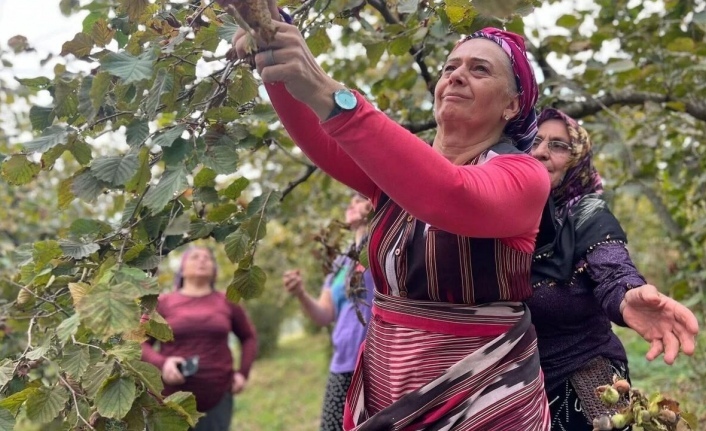 CHP Trabzon Milletvekili Sibel Suiçmez’den Tarım ve Orman Bakanı’na "Fındık" Önergesi: 