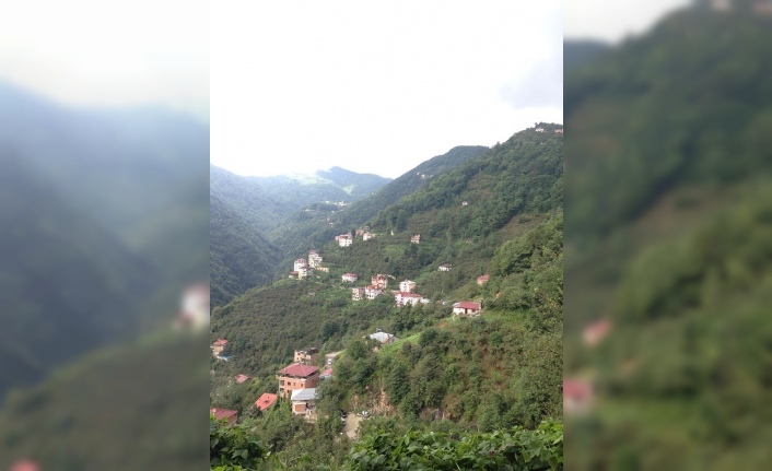 Dernek Pazarı’nda Trafik Kazası 3 Yaralı