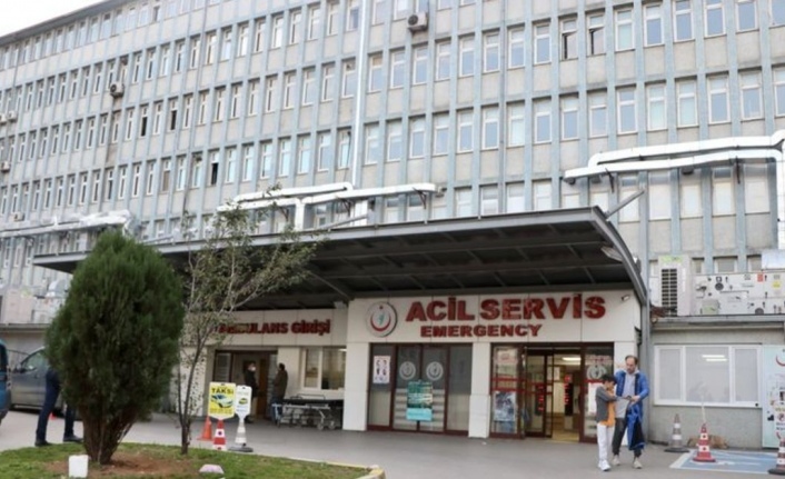Ağaçtan Düşen Şahıs Ağır Yaralandı