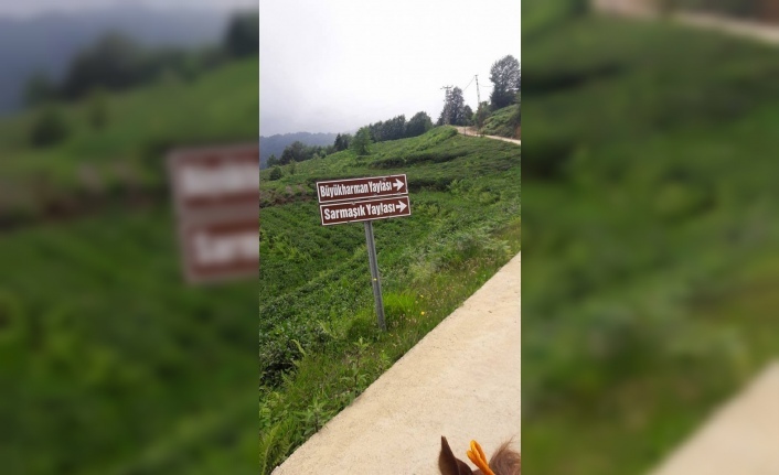Hayrat‘ta Trafik Kazası 1 Yaralı