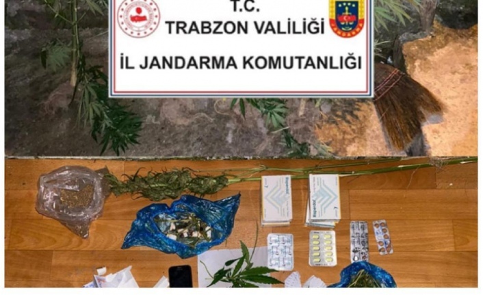 Trabzon Jandarmadan Büyük operasyon.