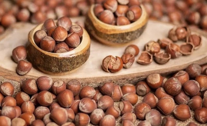 Fındık fiyatları yerinde sayıyor.