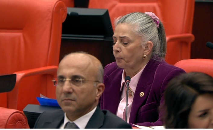 Av.Suiçmez İlayda’nın dosyasını TBMM’ye taşıdı