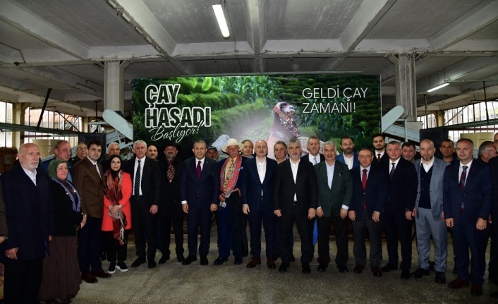 Of Yaş Çay Sezonu Açılışı