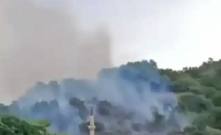 Ortahisar ilçesinde orman yangını