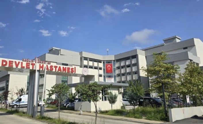 Çaykarada yüksekten düşen baba oğul yaralandı