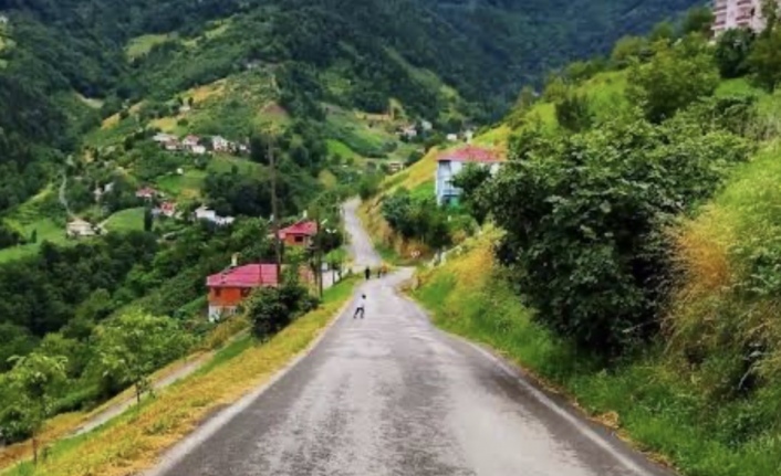 Akçaabat’ta trafik kazası 3.yaralı.