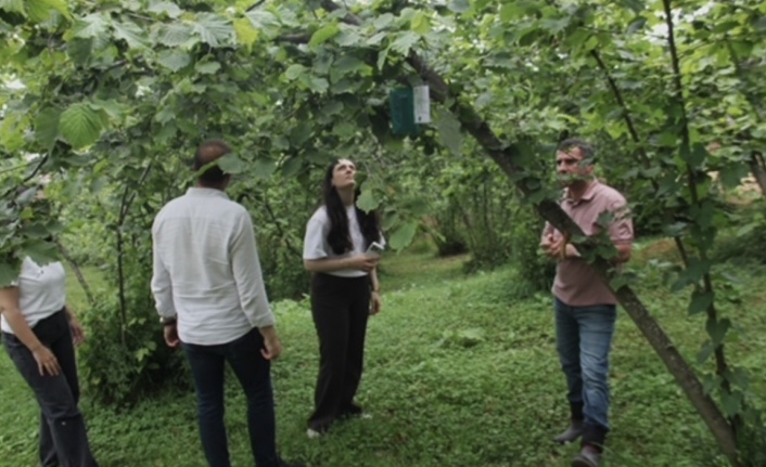 AGRICOOP Projesi İle Tarımda Dijital İzleme Dönemi…